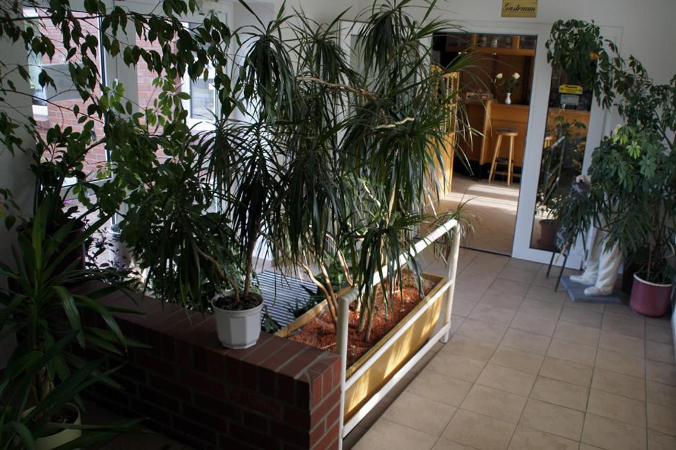 Landhotel Pagram-Frankfurt/Oder Φρανκφούρτη  Εξωτερικό φωτογραφία